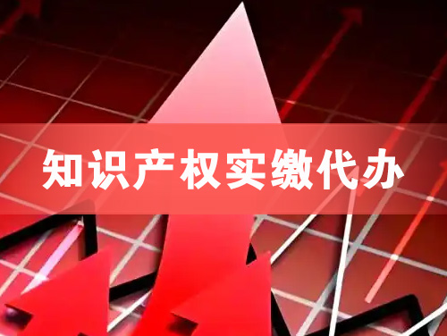 个旧知识产权实缴资本代办